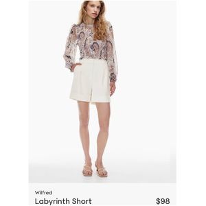Aritzia Shorts - Labyrinth Short